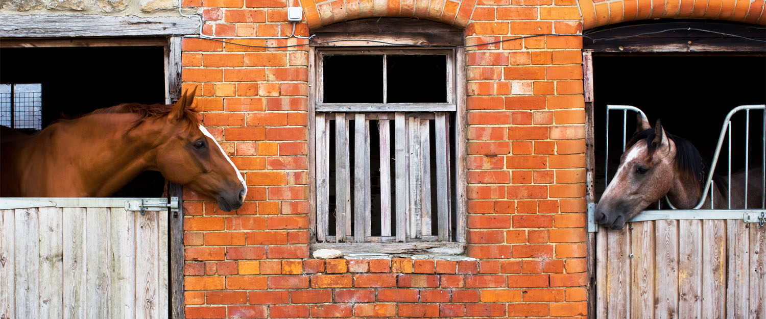 Rew Farm Country to Rew Farm in Seend Cleeve